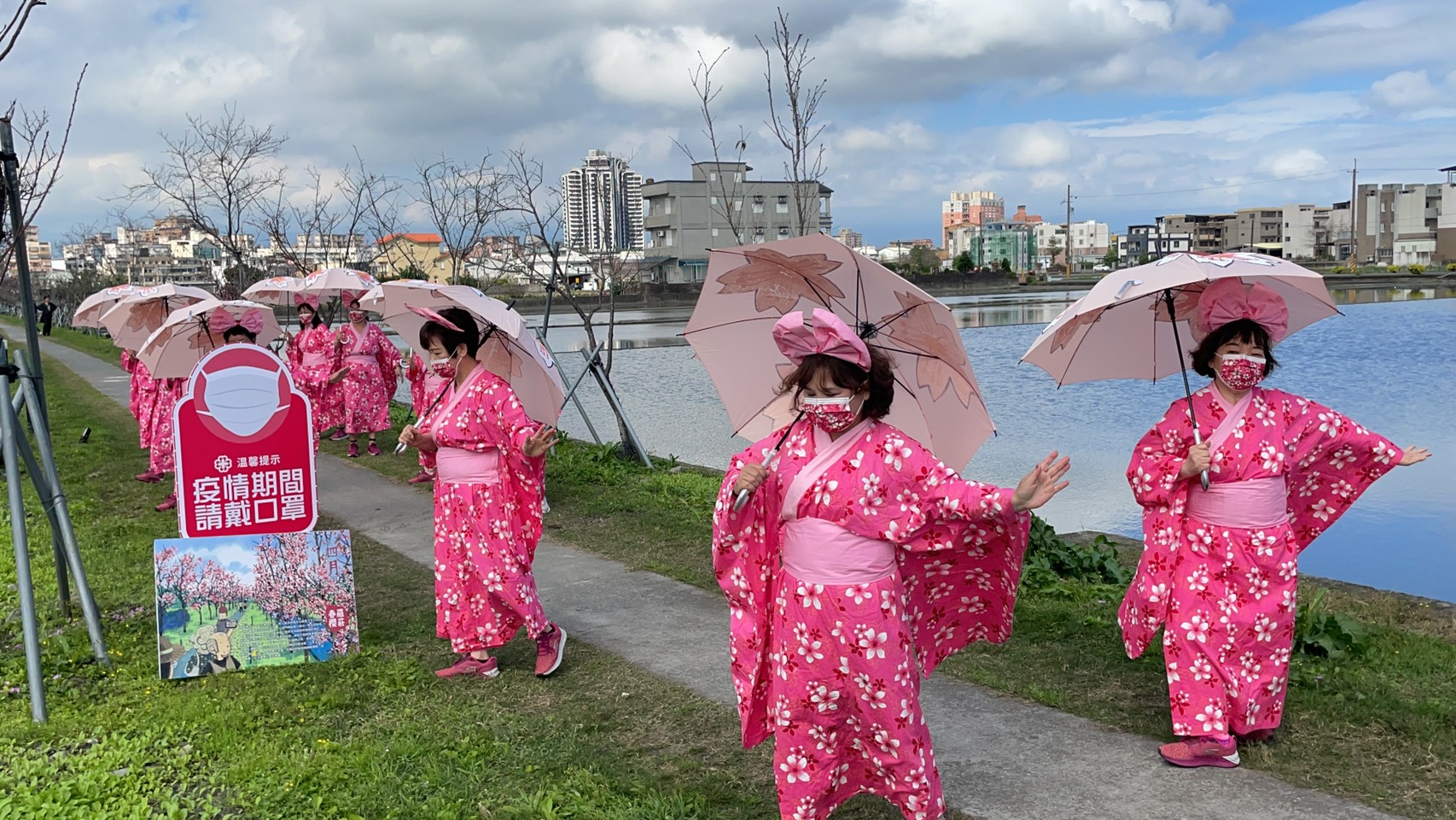 平地最美櫻花在羅東 羅莊櫻花步道春節盛開